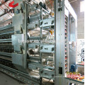 Automatic Metal Chicken Coops For Sale